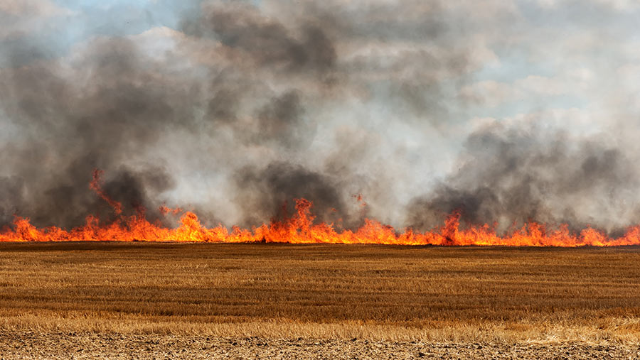 عزم همگانی برای کنترل آتش در بهمئی ، آتش سوزی گسترده در ۹۵ هکتار از  مزارع کشاورزی و مراتع منطقه دشت آهو و کارَند شهرستان بهمئی + تصاویر