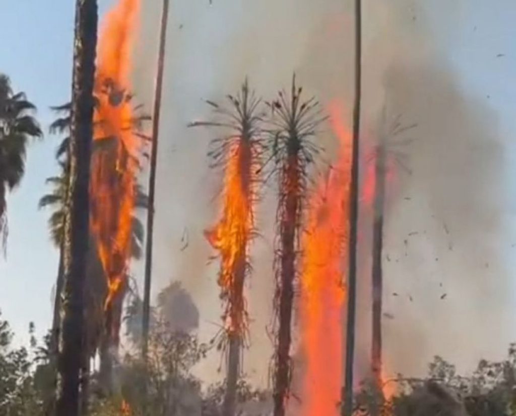 چشمه بلقیس در آتش سوخت+فیلم