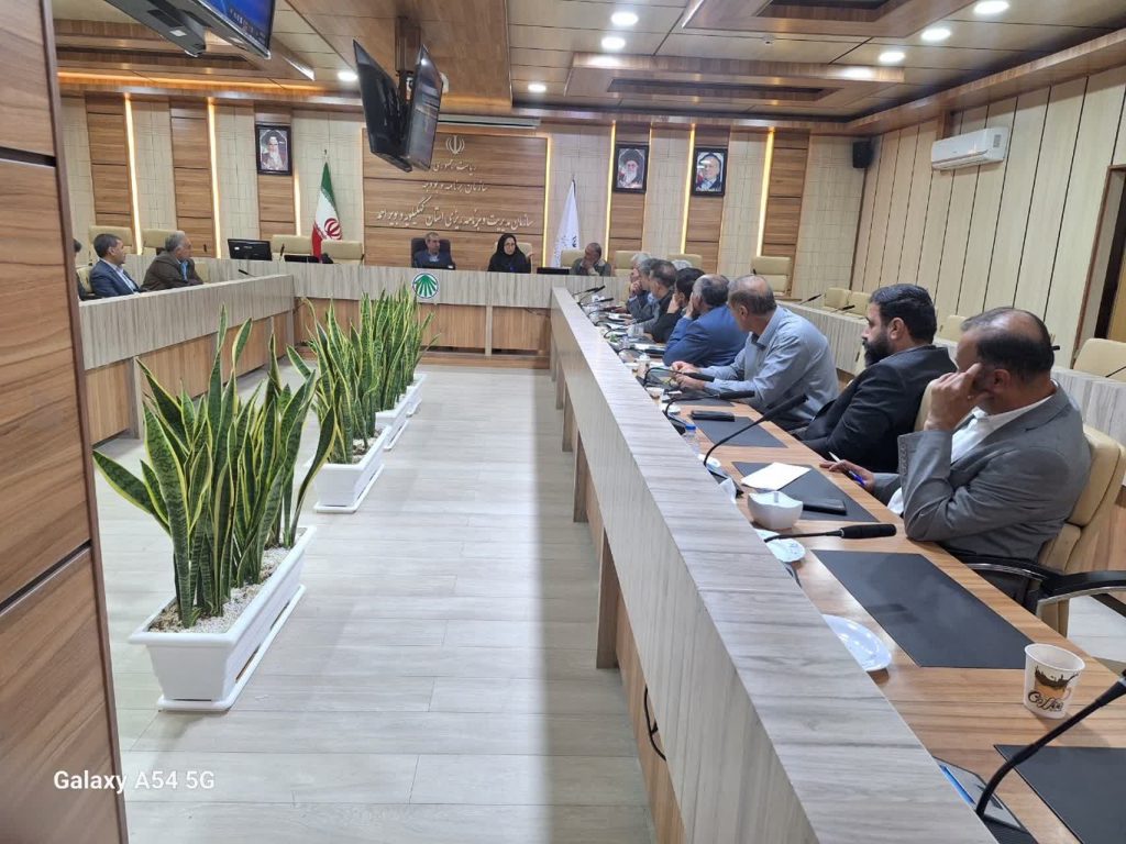 بررسی مسائل و چالش‌های نیروهای طرح در نشست سازمان مدیریت و برنامه‌ریزی استان