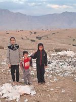 پاکسازی داوطلبانه طبیعت در قلب جنگل‌های زاگرس